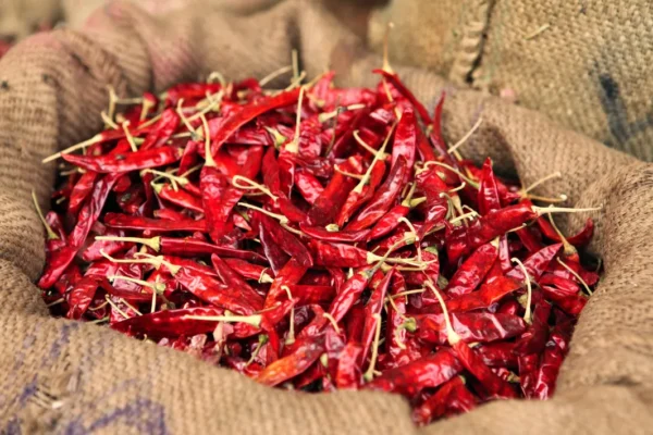 Dried Kashmiri Red Chili