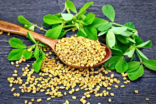 Fenugreek Seeds