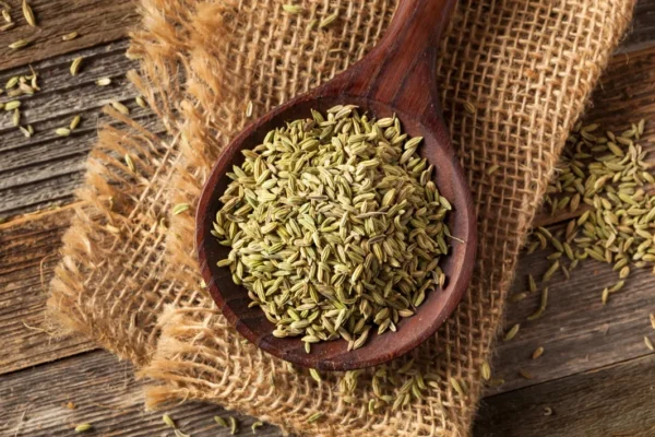 Fennel Seeds