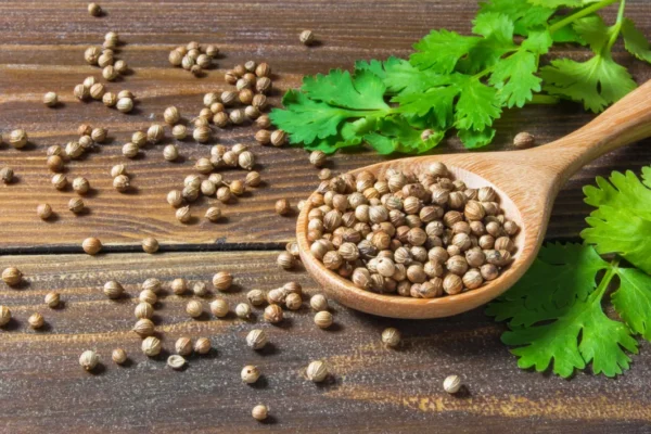 Coriander Seeds