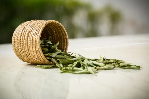 Dried Curry Leaves