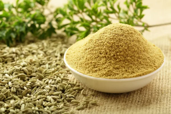 Fennel Seeds Powder